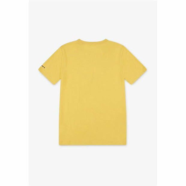 V3H47372523DE8C094A91D900F571723DB4R6162612P2