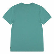 V3HB3AACCCC2EA743639A2D36F2531B925ER6162709P2