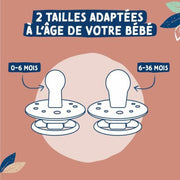 V3H62BBDA71458E7B70FCE283AE66016F81R5773566P5