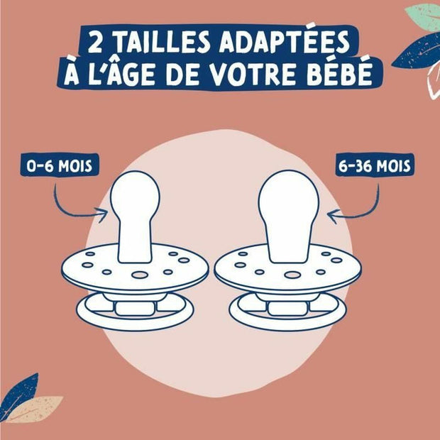 V3H66F0081072398AAD71AA1F4848B1D266R5774088P5