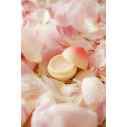 V4HCF323A64A97C85B31707DA83D586E35CR4975612P4