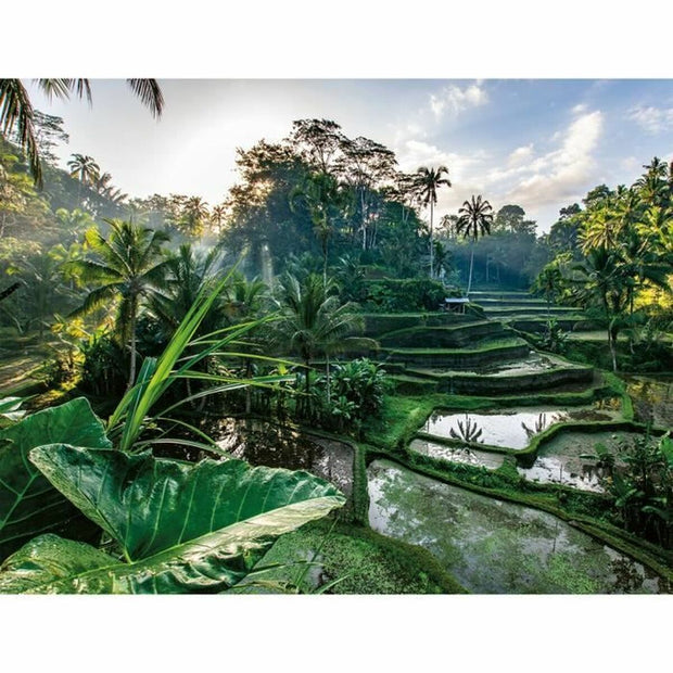 V4H1E990C8315EFF1A8017171EFF68D2394R6361699P2