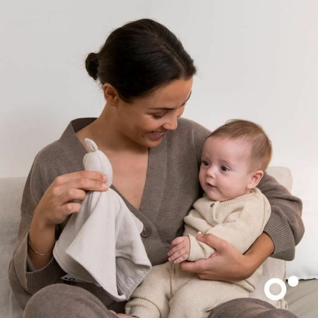 V4H2258F55021CB87E34F5FDD564FB5B6AFR5169296P5