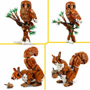 V2H6A89D0B6BDAA2118C7CFD635F5B514E2R6853027P4