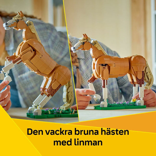 V3HEBD9C2B3D62F4968C1416C4A294128AAR7382416P4