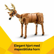 V3H270F736D269CF5E5D70F80872B1425BBR7382419P7