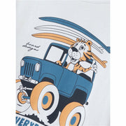 V3HC994C4FB304C268A80977F8014EC5B5BR6081903P3