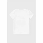 V3H667F16860DA0B6E352DF1544FA0FC29ER6019363P2