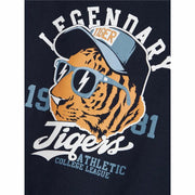 V3H8C1367C7DDC13CF12387F39105ACD12BR6019355P3