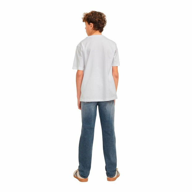 V3H0245CF16F5074CF7CC90D159E9163E28R6081619P3