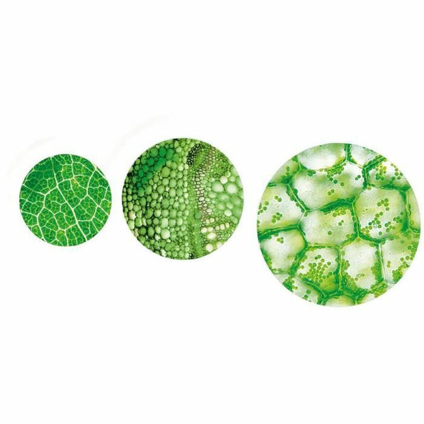 V9H971F9C2380C42F3E5E34D76C8327A26AR7028406P4