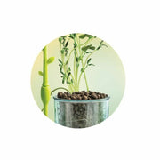 V6HE4F68050A9F92C968B0BACC7D6E9204AR6611579P4