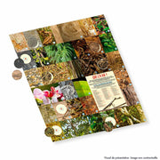 V3H335FEC38100EB80B0A9F66CD91B2FD17R6208248P4