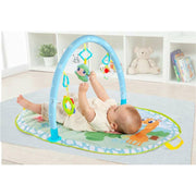 V4H3A75AE09013BE9027167472E96393504R7098699P3