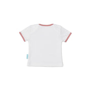 V4H05AC95B26D8B49D01B24FCC0E792C8DER4412977P2