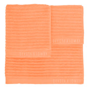 V10HEE68D1CCE2A500915B616BB65D25C640R3399874P3