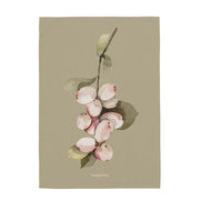 V5H1A62355D9615F74F672DA5CC5CDECD02R5196126P2