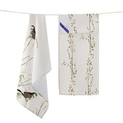 V5H5A1B5942865011910CF5CA67916E9D5BR5191694P4