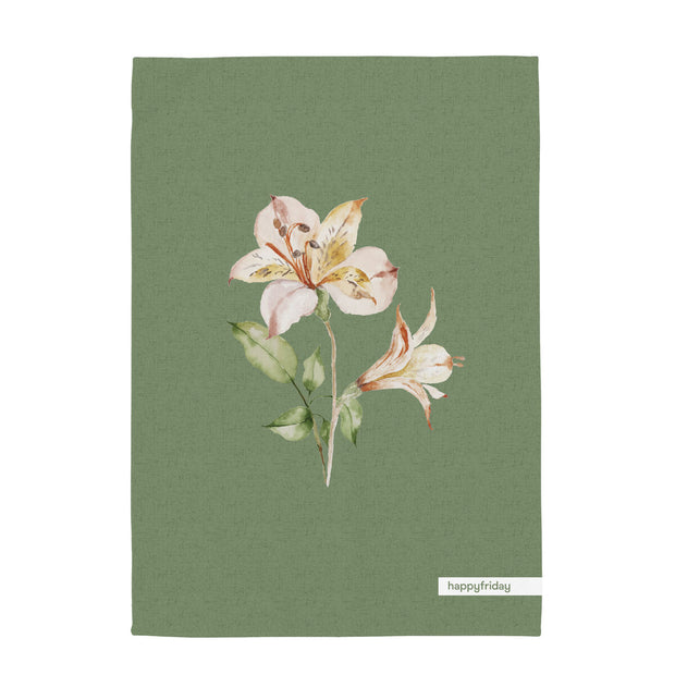 V5H42219698BF2EEF3EF1AD2E3E79A757CBR5217464P2