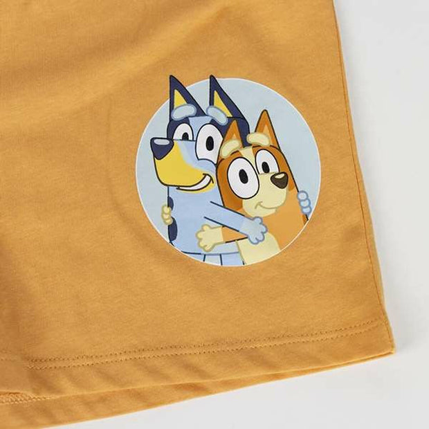 V3H6CEB8A0582378AE5E2F06A2EEF284BF1R7133719P4