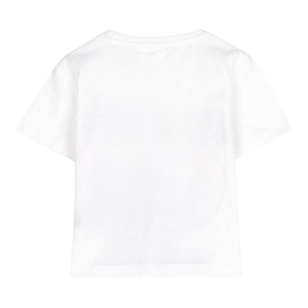 V19HDFF47DB0A0EB9A7B4774B35F33C06D3ER7156793P2