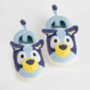 V3HAACC9B774832D2F77C53892D837C1AEFR7252855P3