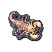 V6H6D0D7B1D6BA24680074DF5B4C8FF398CR4078534P6