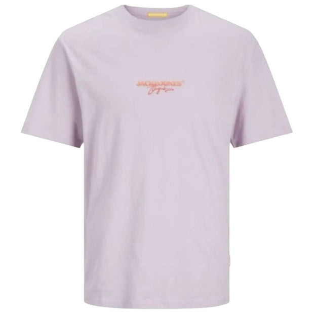 V2H699283F7F61E5F965DBE08499F0DB02BR7070673P1