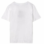 V3H7B3C9ED2D1779583FE004BEB91B1E085R5555989P2