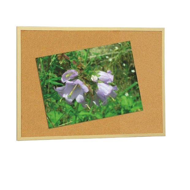 V5H624585C35803E75AA38C88FB975AF98ER7226603P1