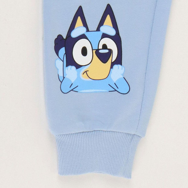 V2H3A42FFC5C9F39F9B061267E68A542158R7500333P5